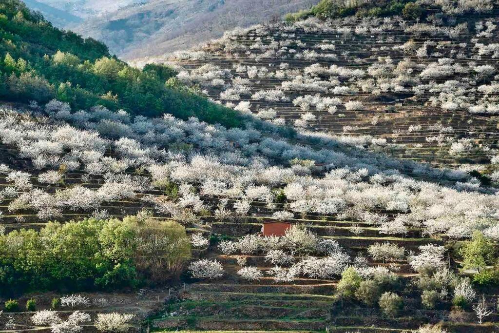 Apartamento Rural Se De Un Lugar El Torno  Luaran gambar