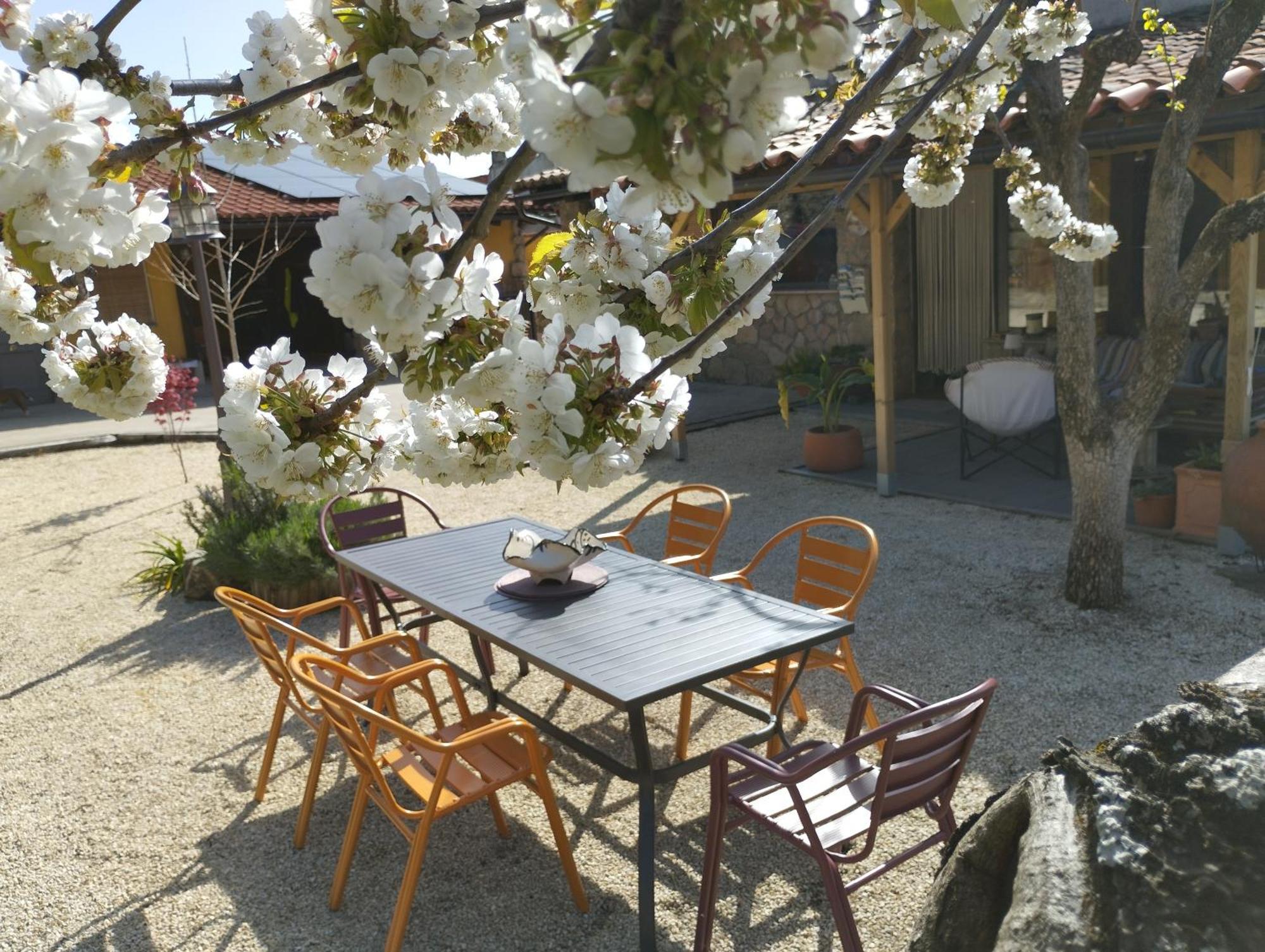 Apartamento Rural Se De Un Lugar El Torno  Luaran gambar